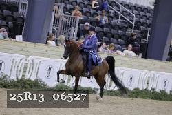 25R13_06527 thumbnail