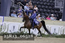 25R13_06528 thumbnail