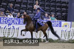 25R13_06530 thumbnail