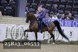 25R13_06533 thumbnail