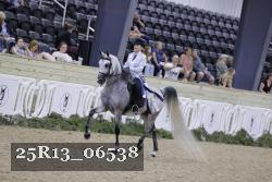 25R13_06538 thumbnail