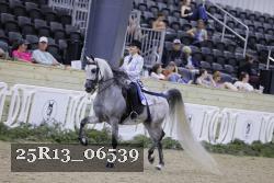 25R13_06539 thumbnail