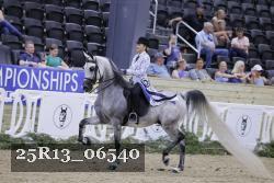 25R13_06540 thumbnail