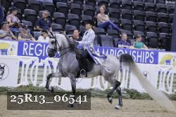 25R13_06541 thumbnail