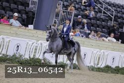 25R13_06542 thumbnail