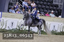 25R13_06543 thumbnail