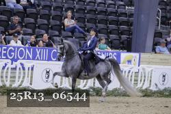 25R13_06544 thumbnail