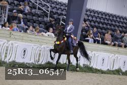 25R13_06547 thumbnail