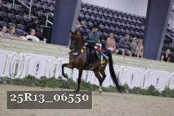 25R13_06550 thumbnail