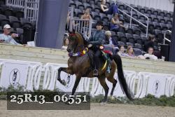 25R13_06551 thumbnail