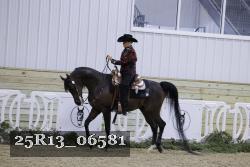 25R13_06581 thumbnail