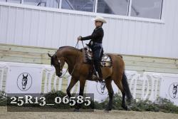25R13_06585 thumbnail