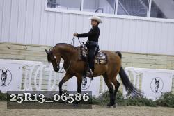 25R13_06586 thumbnail