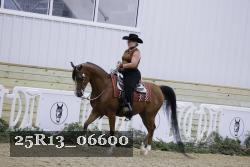 25R13_06600 thumbnail