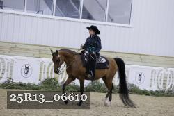 25R13_06610 thumbnail