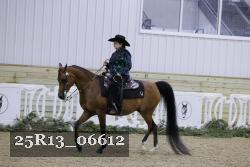 25R13_06612 thumbnail