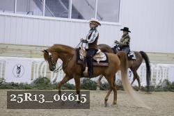25R13_06615 thumbnail