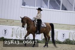 25R13_06617 thumbnail