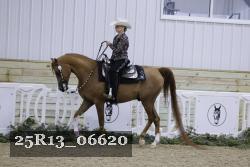 25R13_06620 thumbnail