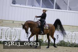 25R13_06623 thumbnail