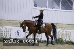 25R13_06624 thumbnail