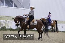 25R13_06627 thumbnail