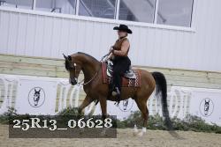 25R13_06628 thumbnail
