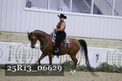 25R13_06629 thumbnail