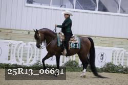 25R13_06631 thumbnail