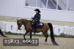 25R13_06633 thumbnail