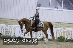 25R13_06635 thumbnail