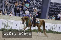 25R13_06654 thumbnail