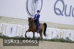 25R13_06695 thumbnail