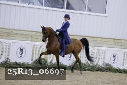 25R13_06697 thumbnail