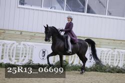 25R13_06699 thumbnail