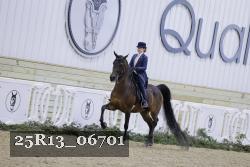 25R13_06701 thumbnail