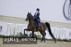 25R13_06702 thumbnail