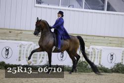 25R13_06710 thumbnail