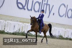 25R13_06712 thumbnail