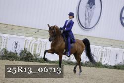 25R13_06713 thumbnail