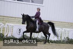 25R13_06715 thumbnail