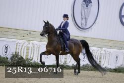 25R13_06716 thumbnail