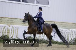 25R13_06717 thumbnail