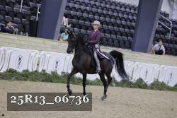 25R13_06736 thumbnail