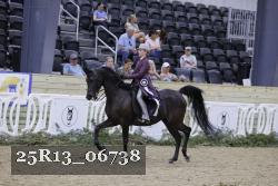 25R13_06738 thumbnail