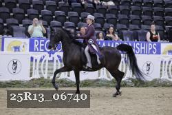 25R13_06740 thumbnail
