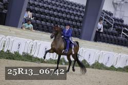25R13_06742 thumbnail