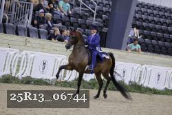 25R13_06744 thumbnail