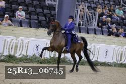 25R13_06745 thumbnail