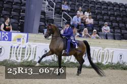 25R13_06746 thumbnail